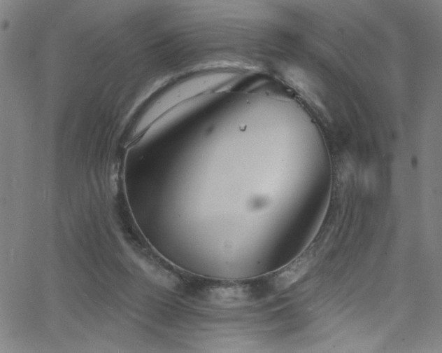 X0000068770160200604281247