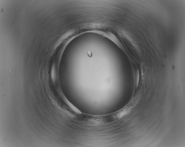 X0000068770164200604281247