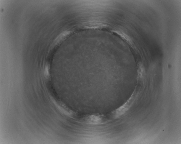 X0000068770166200604281247