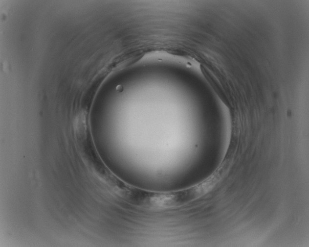 X0000068770172200604281247