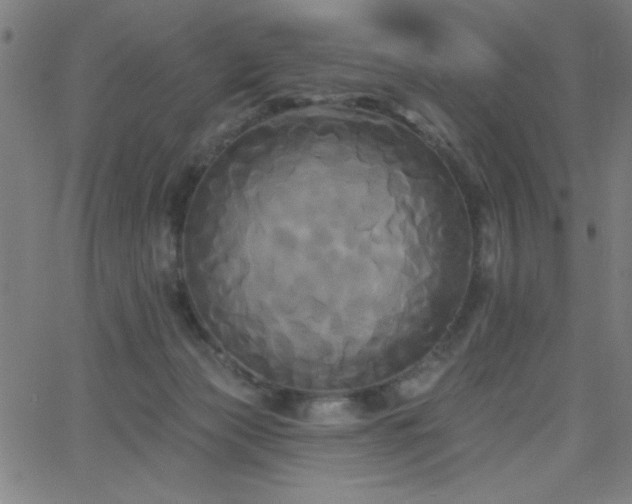 X0000068770173200604281247