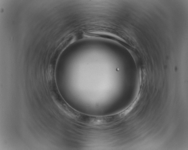 X0000068770174200604281247