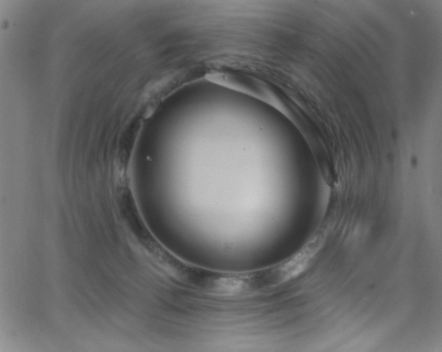 X0000068770176200604281247