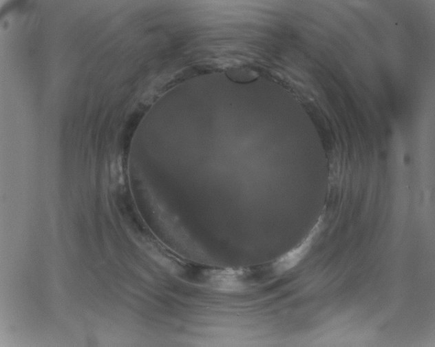 X0000068770182200604281247