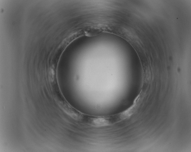 X0000068770183200604281247