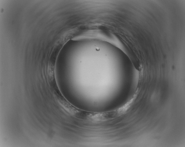 X0000068770186200604281248