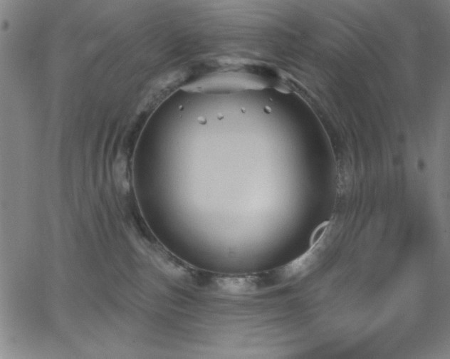 X0000068770187200604281248