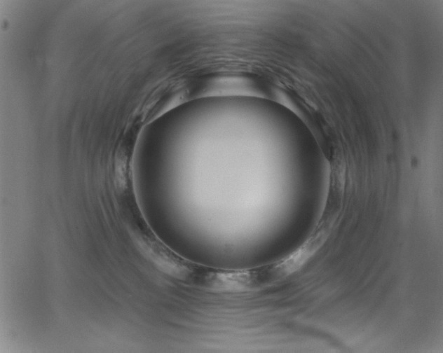 X0000068770188200604281248