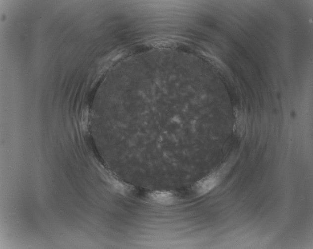 X0000068770189200604281248