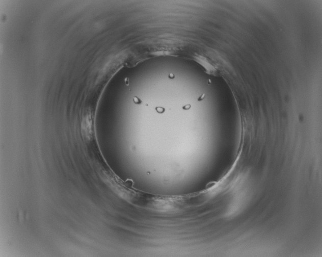 X0000068770190200604281248