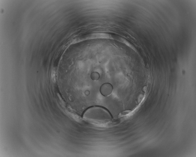 X0000068770191200604281248