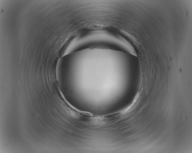 X0000068770192200604281248