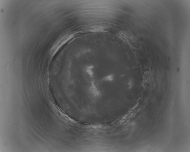 X0000068770194200604281247