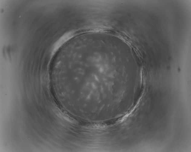 X0000068770198200604281247