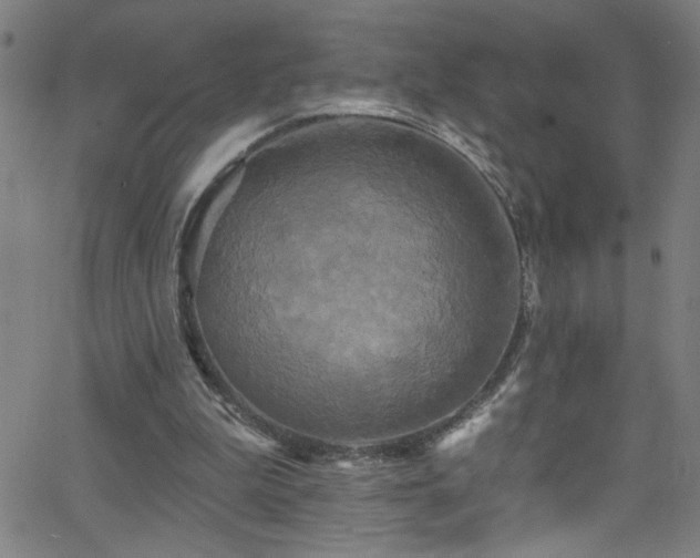 X0000068770199200604281247