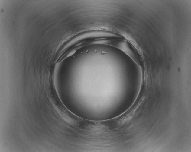 X0000068770201200604281247