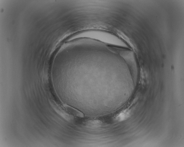 X0000068770203200604281247