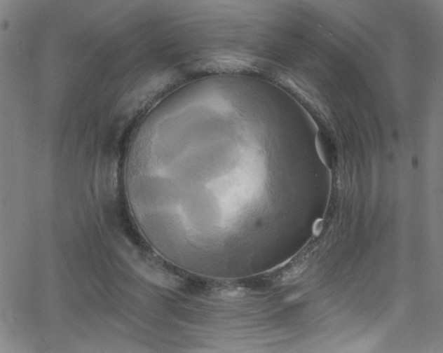 X0000068770206200604281247