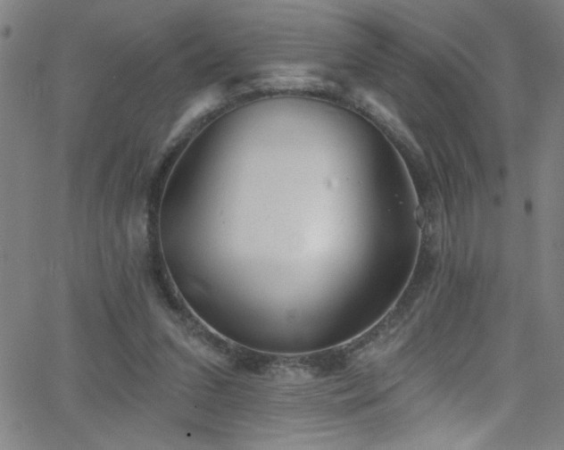 X0000068770207200604281247