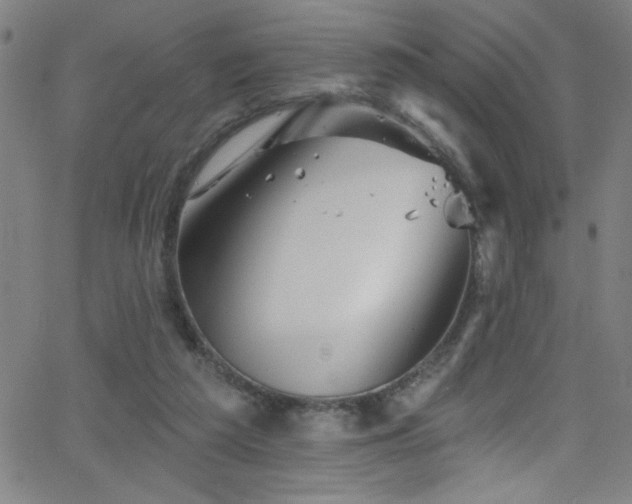 X0000068770209200604281247