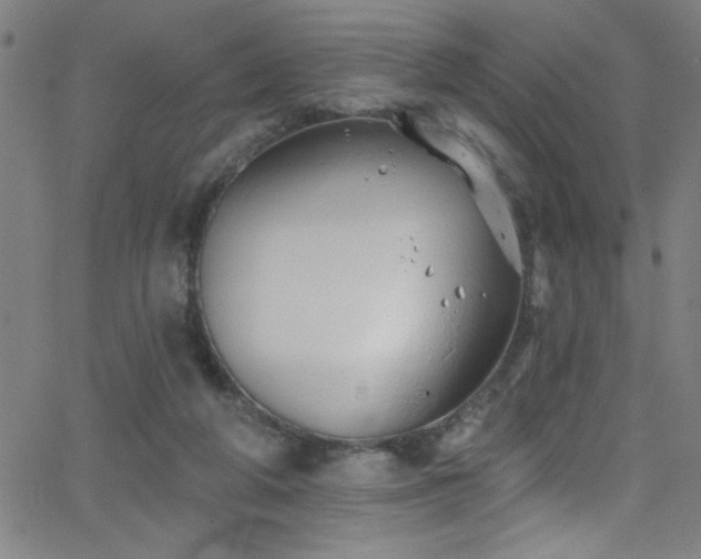 X0000068770210200604281247