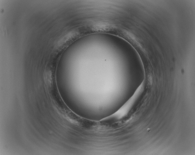 X0000068770211200604281247