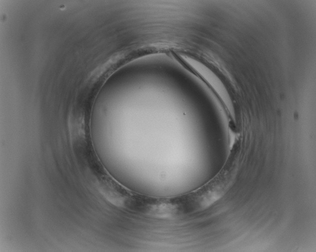 X0000068770212200604281247