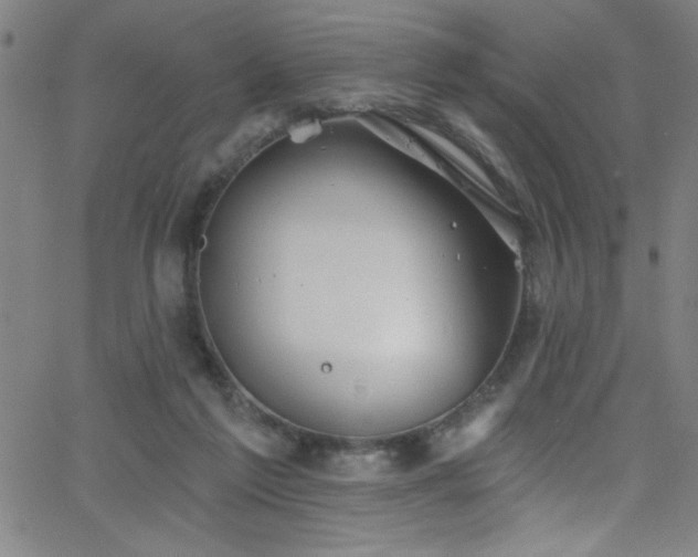 X0000068770213200604281246