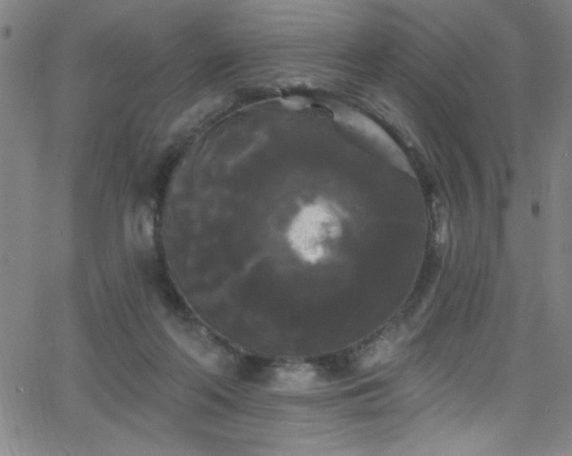 X0000068770214200604281246