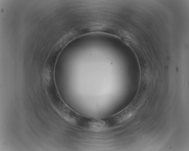 X0000068770215200604281246