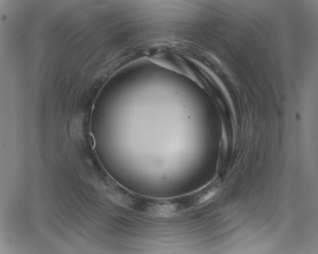 X0000068770217200604281246