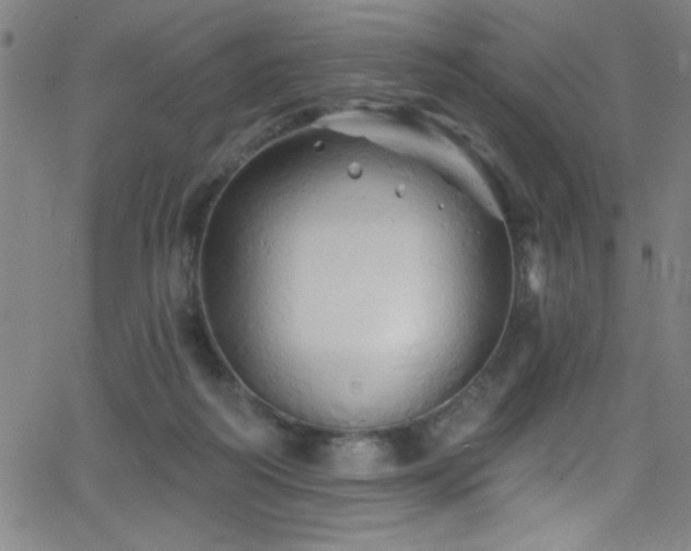 X0000068770218200604281246