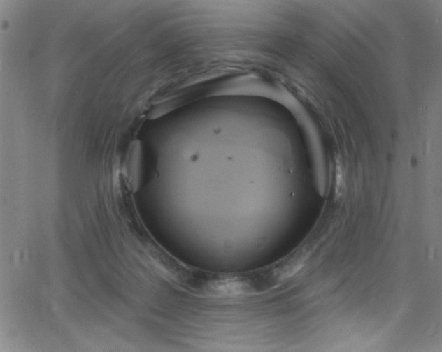 X0000068770219200604281246