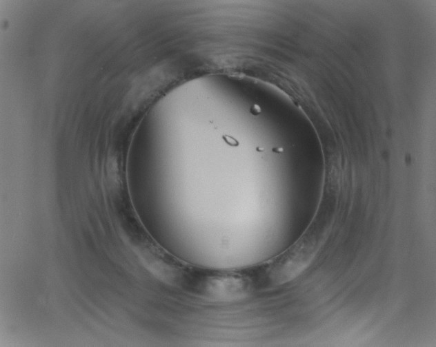 X0000068770220200604281246