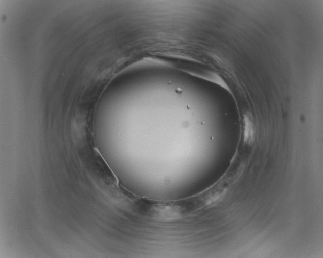 X0000068770221200604281246