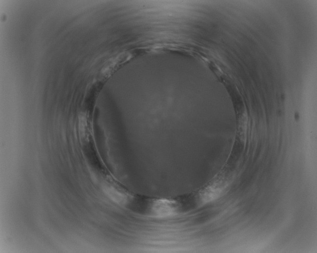 X0000068770222200604281246