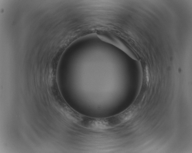 X0000068770223200604281246