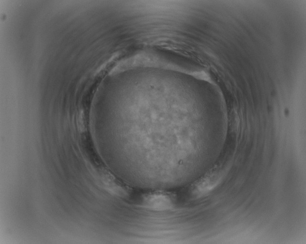 X0000068770224200604281246