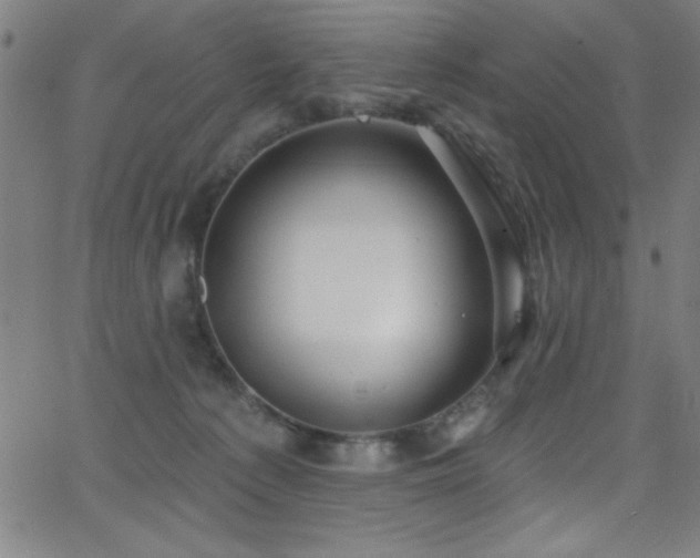 X0000068770225200604281246