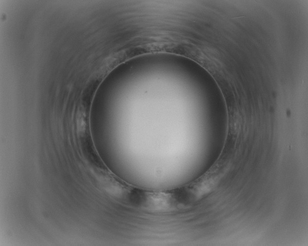 X0000068770226200604281246