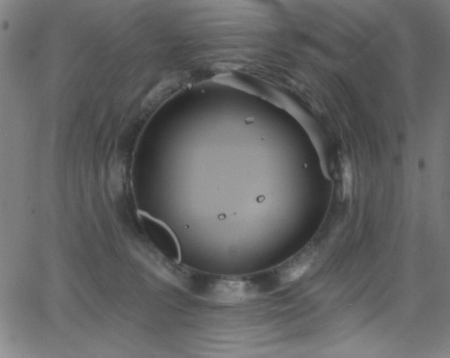 X0000068770227200604281246