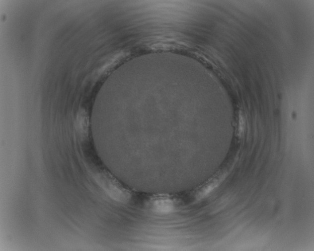 X0000068770228200604281246