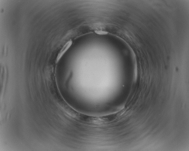 X0000068770229200604281246