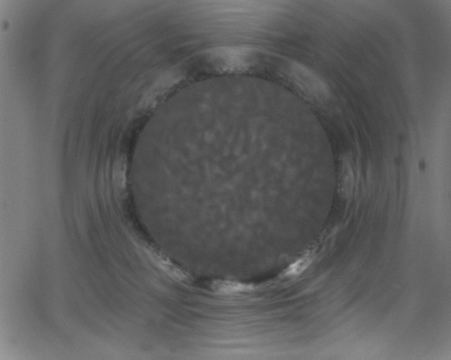 X0000068770230200604281246