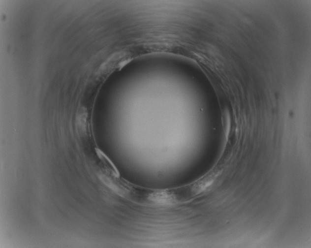 X0000068770231200604281246