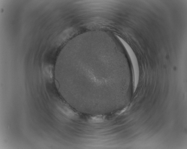 X0000068770232200604281246