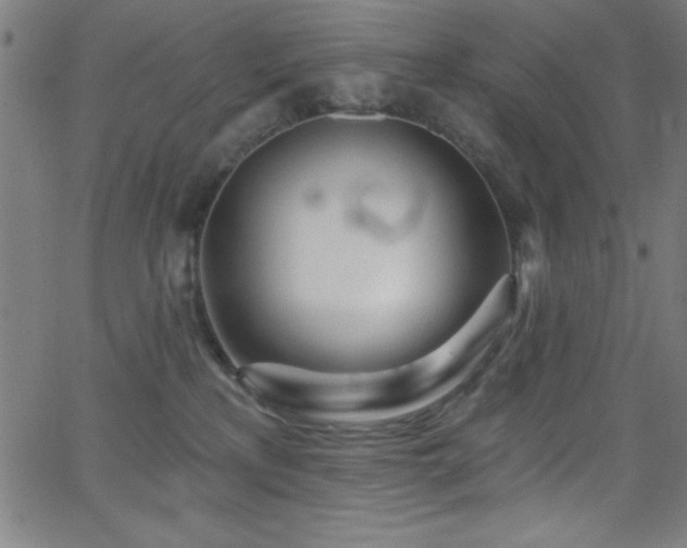 X0000068770233200604281246