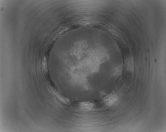 X0000068770234200604281246