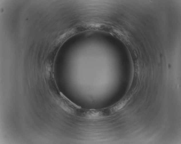 X0000068770235200604281246