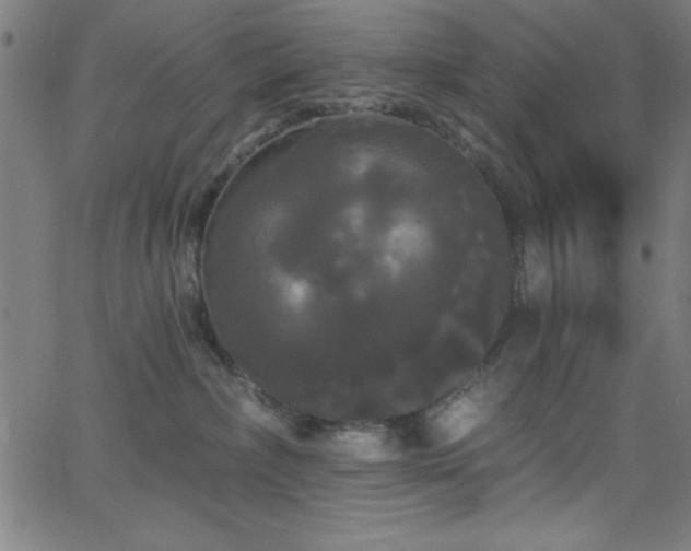 X0000068770236200604281246